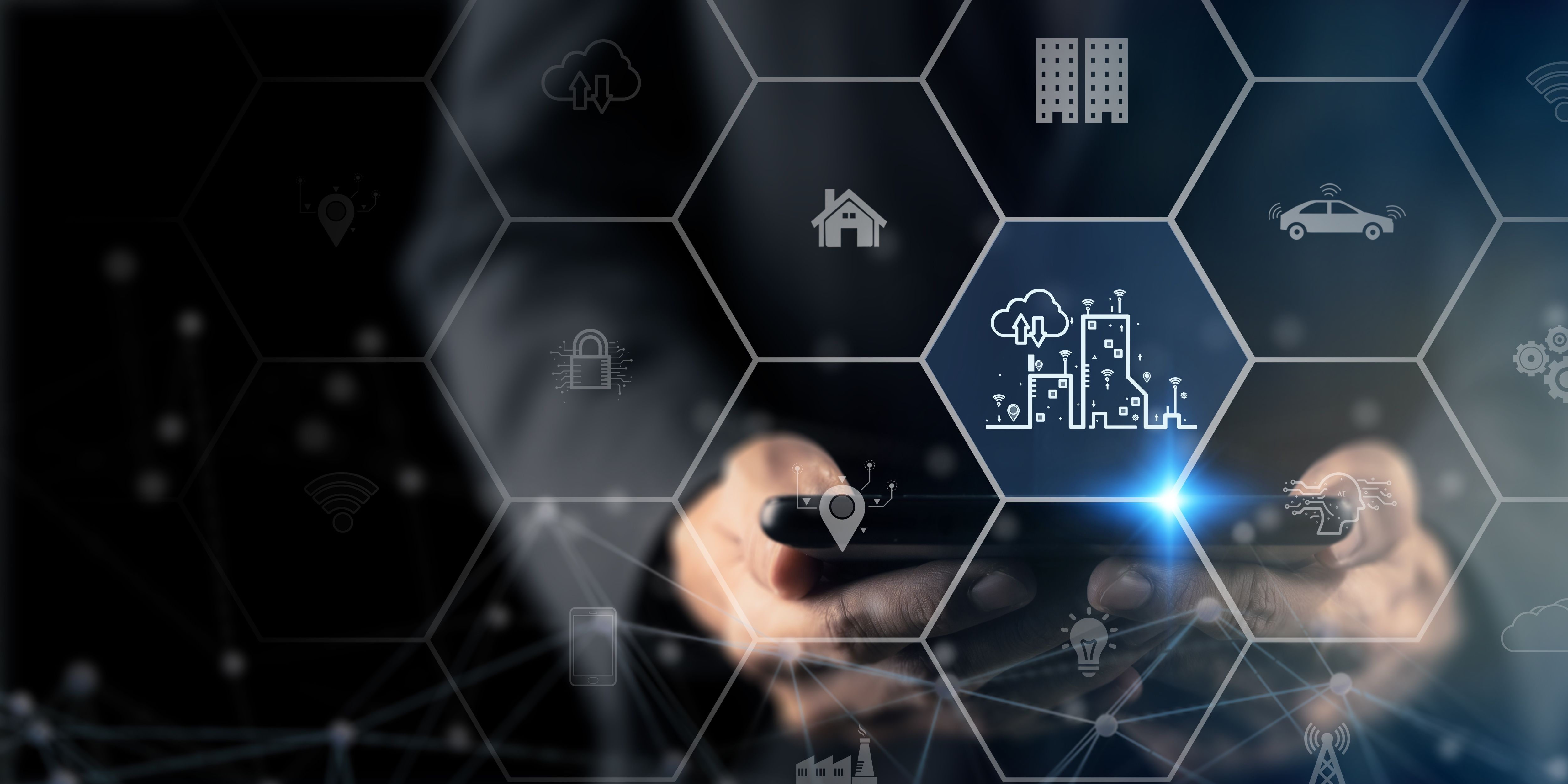 Network Visualization & Management